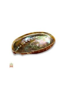 Coquille d’ormeau naturelle - Réceptacle irisé pour encens