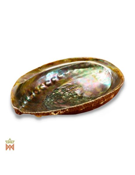 Coquille d’ormeau naturelle - Réceptacle irisé pour encens