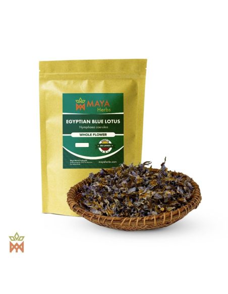 Lotus bleu égyptien du Sri Lanka - Fleurs entières, Nymphaea caerulea