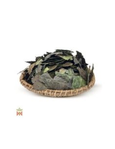 Guayusa from Ecuador - Whole Leaves, Ilex guayusa 2