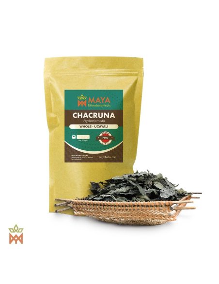 Chacruna d’Ucayali, Pérou - Feuilles entières, Psychotria viridis
