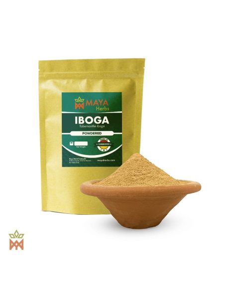 Iboga du Gabon - Racine finement pulvérisée, Tabernanthe iboga