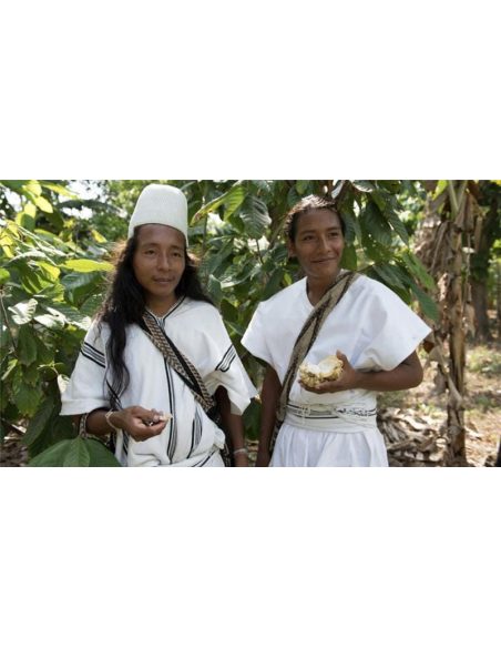 Arhuaca-Kakao aus Kolumbien - Zeremonieller Saatkakao 450 g, Theobroma cacao