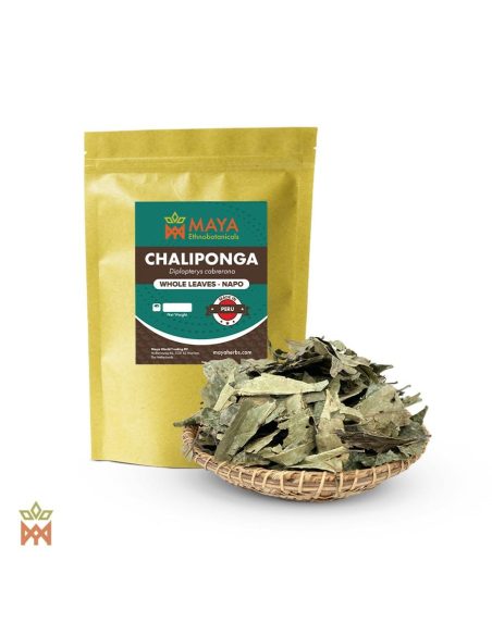 Chaliponga aus Napo, Peru - Ganze Blätter, Diplopterys cabrerana