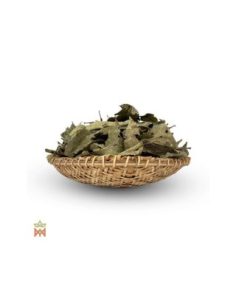 Chaliponga de Napo, Pérou - Feuilles entières,... 2