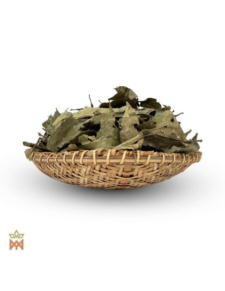 Chaliponga de Napo, Pérou - Feuilles entières, Diplopterys cabrerana