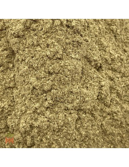 Manayupa from Peru - Powdered Herb, Desmodium molliculum
