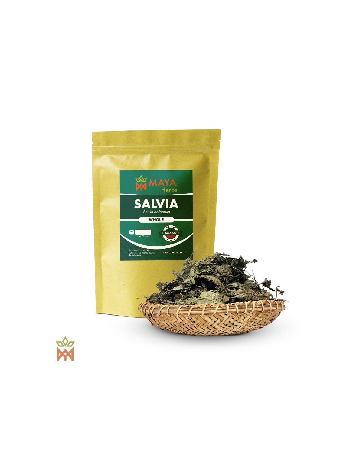 Sauge d’Oaxaca - Feuilles entières, Salvia divinorum