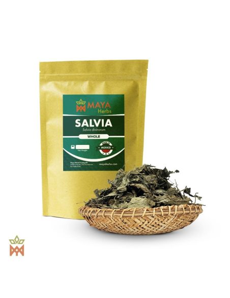 Sauge d’Oaxaca - Feuilles entières, Salvia divinorum