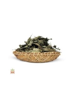 Salvia from Oaxaca - Whole Leaves, Salvia divinorum 2