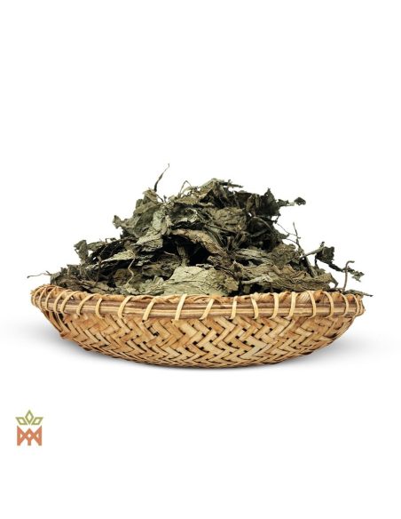 Salbei aus Oaxaca - Ganze Blätter, Salvia divinorum