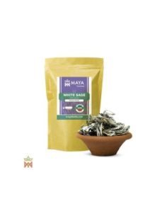 Sauge blanche d’Oregon - Feuilles entières, Salvia Apiana