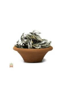 Sauge blanche d’Oregon - Feuilles entières, Salvia Apiana 2
