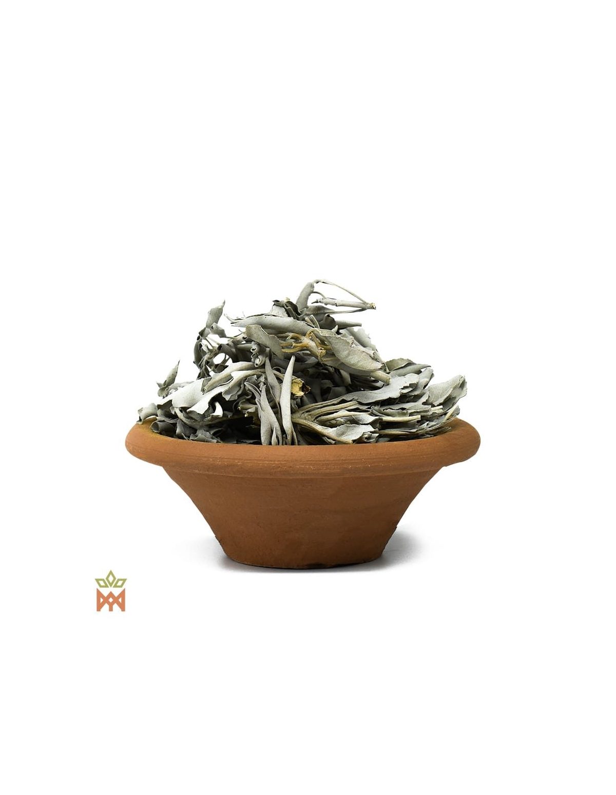 Sauge blanche d’Oregon - Feuilles entières, Salvia Apiana