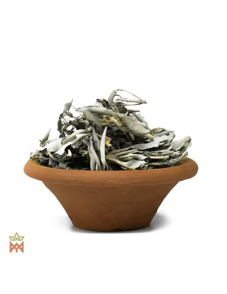 Sauge blanche d’Oregon - Feuilles entières, Salvia Apiana
