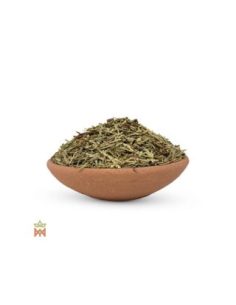 American Incense Cedar - Whole Foliage, Calocedrus decurrens 2