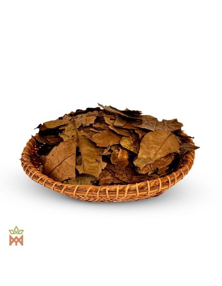 Guayusa du Pérou - Feuilles entières, Ilex guayusa