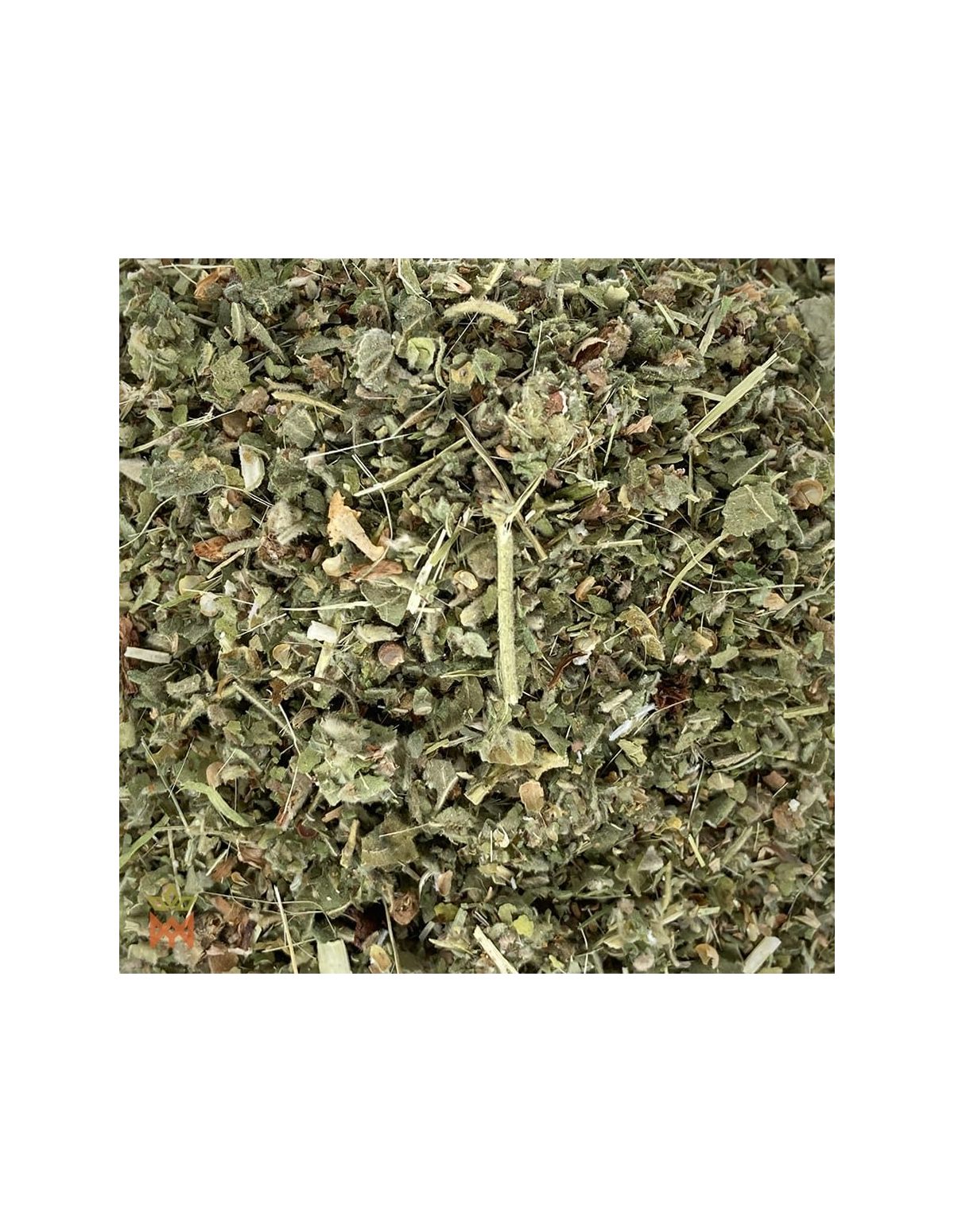 Polnischer Eibisch - Fein geschnittenes Kraut, Althaea officinalis