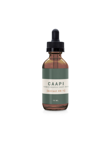 Caapi - Banisteriopsis Caapi Red 40:1 Extract