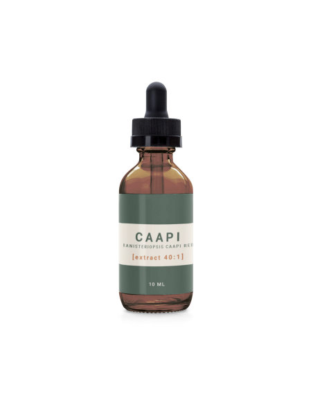 Caapi - Banisteriopsis Caapi Red 40:1 Extract