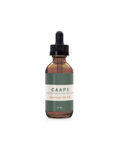 Caapi - Banisteriopsis Caapi Yellow 40:1 Extract