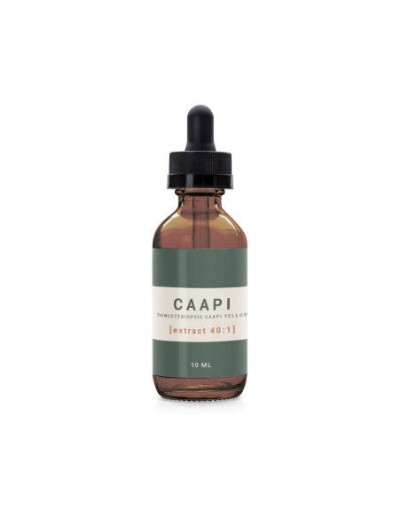 Caapi - Banisteriopsis Caapi Yellow 40:1 Extract