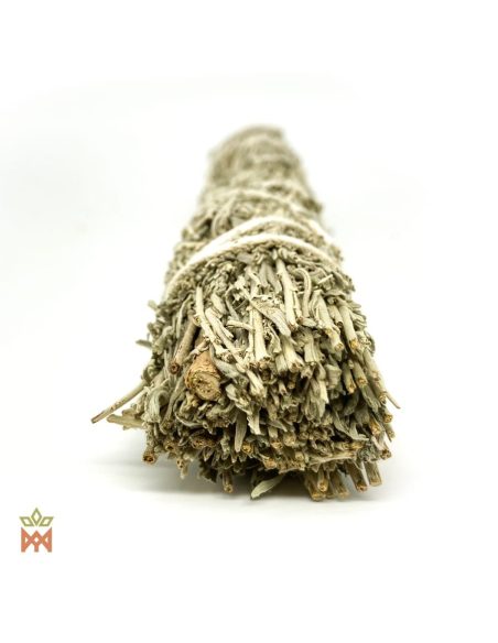 Armoise tridentée des États-Unis - Fagot de feuilles 40-50 g, Artemisia tridentata