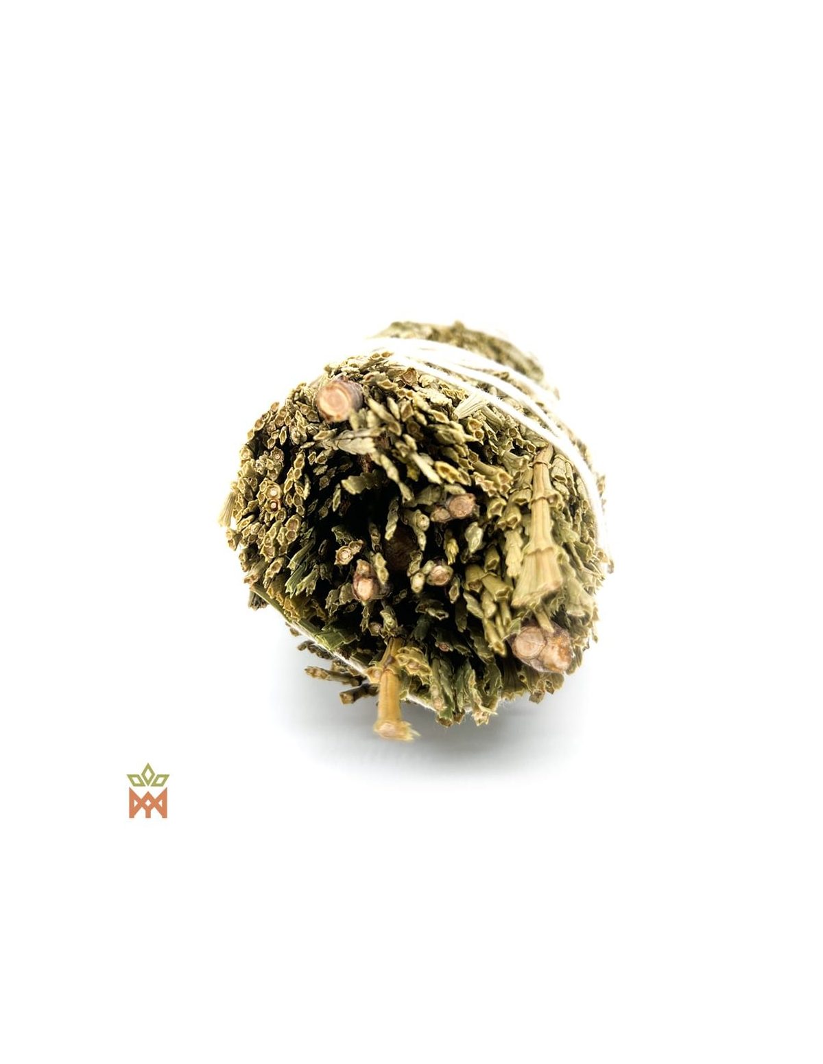 American Incense Cedar - Medium Leaf Bundle, Libocedrus decurrens