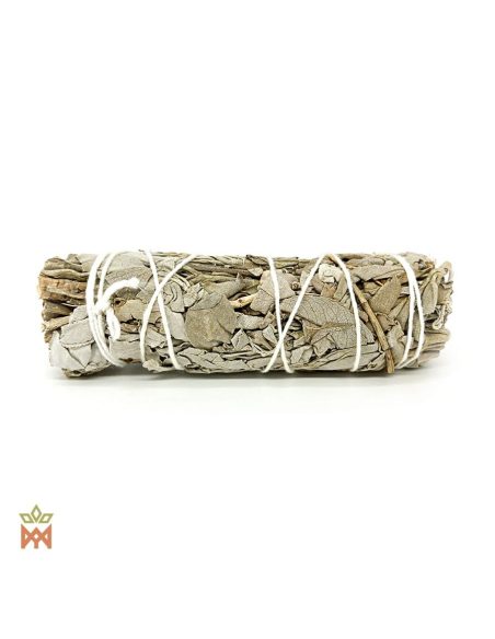 Oregon White Sage - Small Leaf Bundle, Salvia apiana