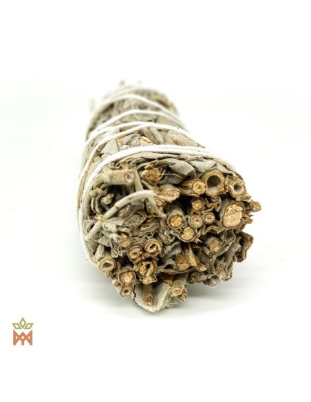 Oregon White Sage - Small Leaf Bundle, Salvia apiana