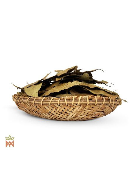 Ishpingo aus Peru - Ganze Blätter, Ocotea quixos