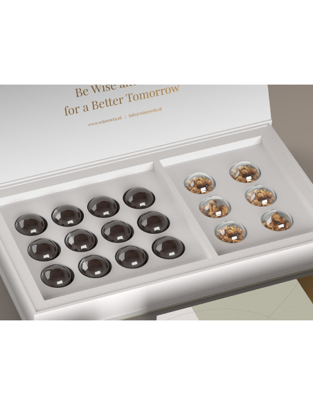 Wise Rootz – Full Focus