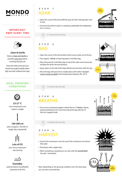 Grow kit stérilisé vierge "Mushbag - Spawn Bag" Mycotek - 4 Grow kit stérilisé vierge "Mushbag - Spawn Bag" Mycotek - 4