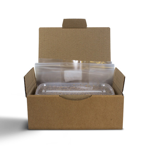 Treasure Coast growkit  - 1