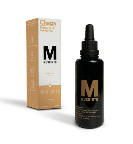 Mushinto Chaga Tincture  - 1
