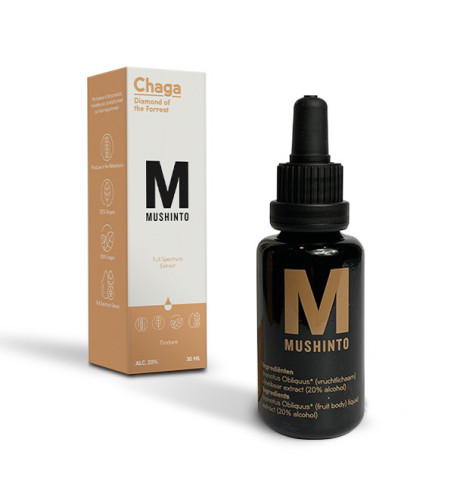 Mushinto Chaga Tincture  - 3