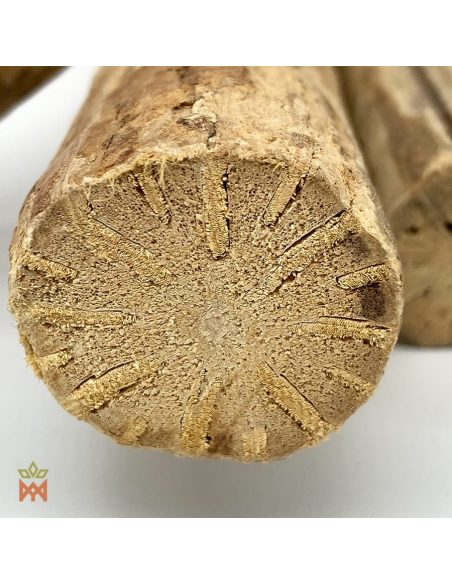 Ajo sacha du Pérou - Bois entier, Mansoa alliacea
