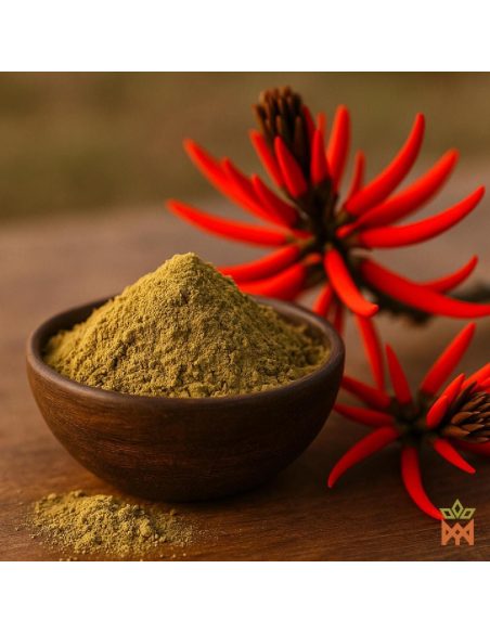 Mulungu du Brésil - Extrait sec 4:1 d’écorce, Erythrina mulungu