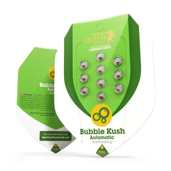 Bubble Kush Automatic - Royal Queen Seeds  - 2 Bubble Kush Automatic - Royal Queen Seeds  - 2