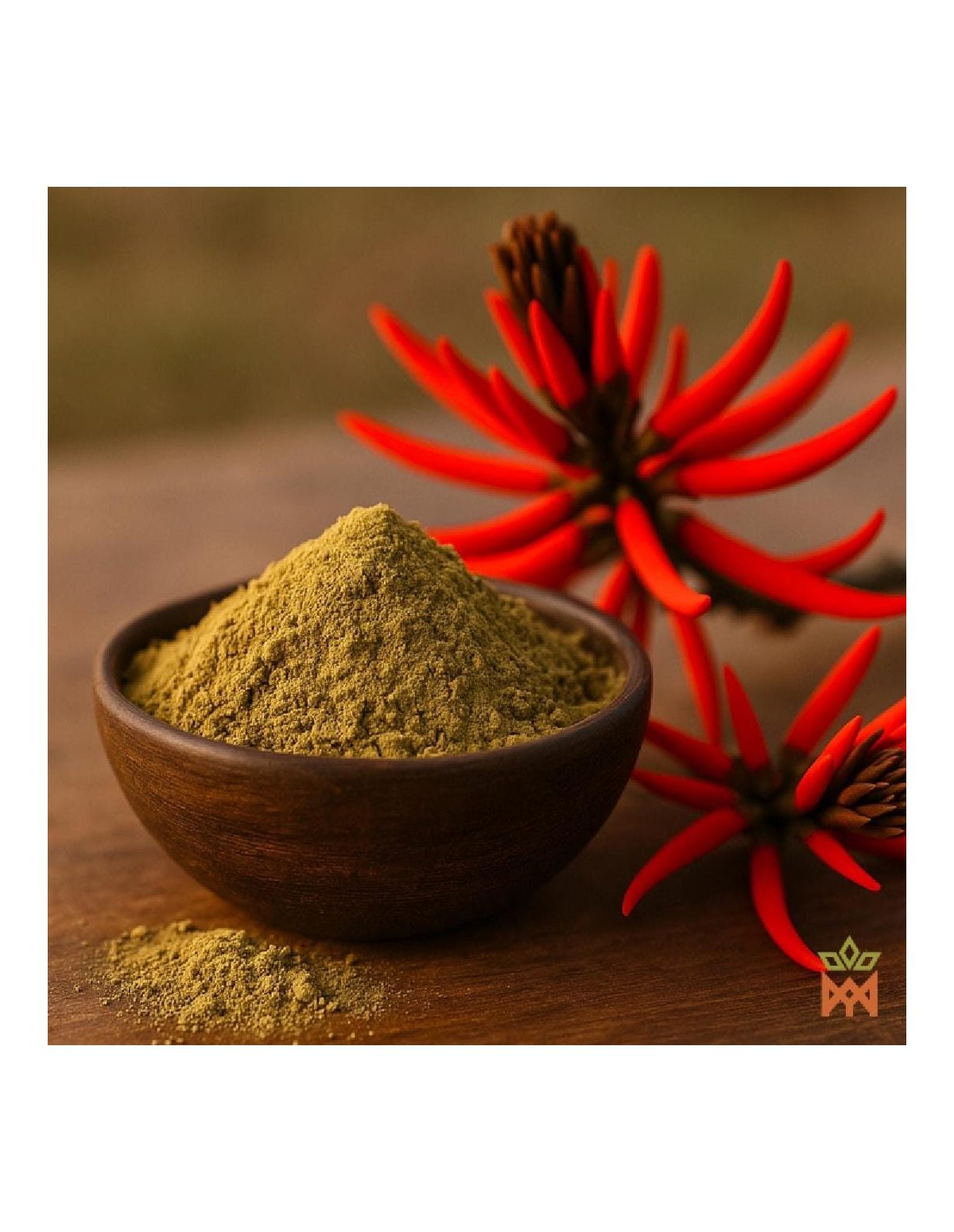 Mulungu - Botanisches Kapselformat, Erythrina mulungu