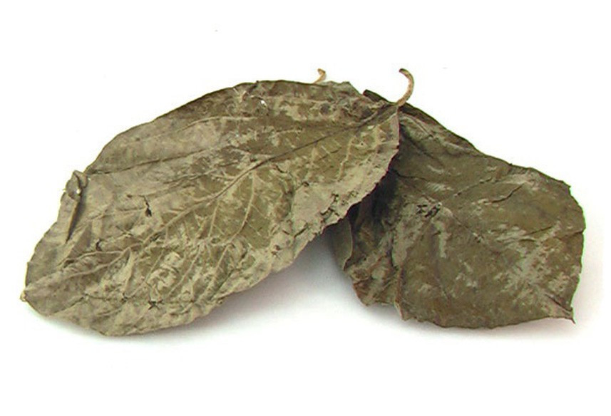 Chaliponga - Diplopterys cabrerana Herborist - 2 Chaliponga - Diplopterys cabrerana Herborist - 2
