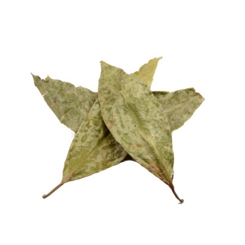 Chaliponga - Diplopterys cabrerana Herborist - 3