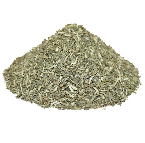 Catnip - Nepeta cataria