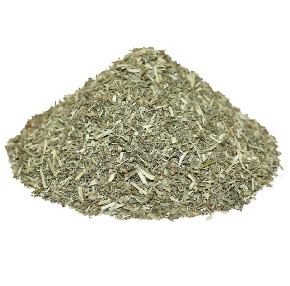 Catnip - Nepeta cataria Catnip - Nepeta cataria