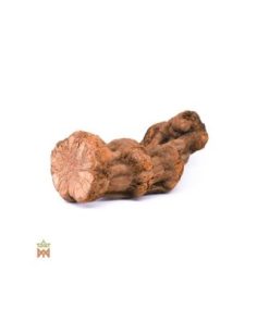 Caupuri-Caapi aus Brasilien - Ganze Dekorationsliane,...