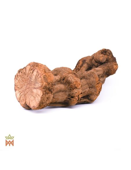Brazilian Caupuri Caapi - Whole Display Vine, Banisteriopsis Caapi
