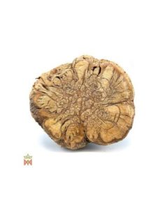 Caapi Caupuri du Brésil - Liane entière décorative,... 2