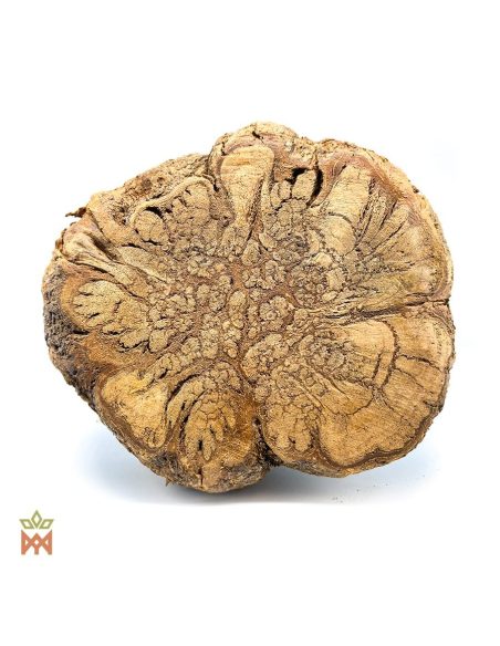 Brazilian Caupuri Caapi - Whole Display Vine, Banisteriopsis Caapi