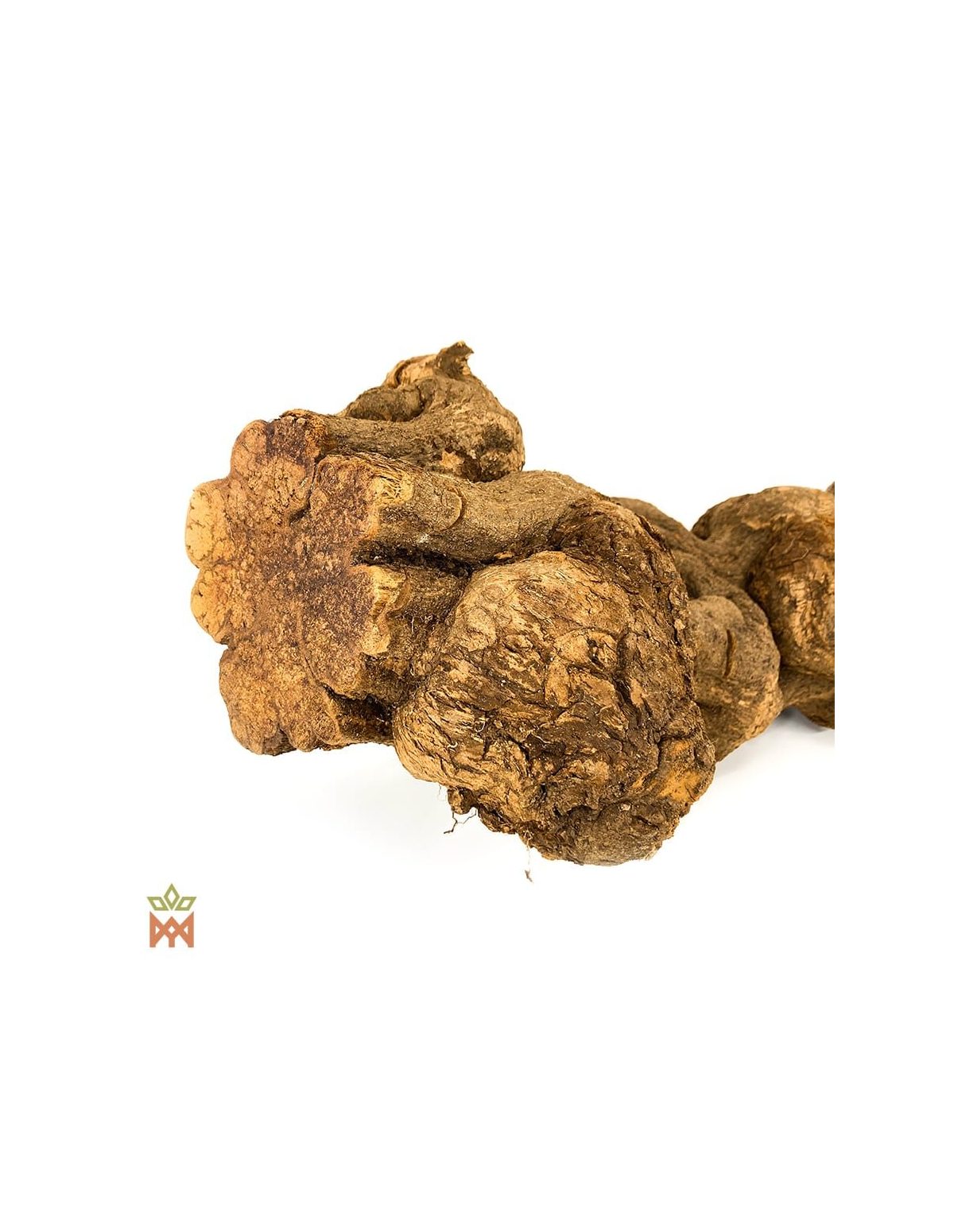 Brazilian Caupuri Caapi - Whole Display Vine, Banisteriopsis Caapi