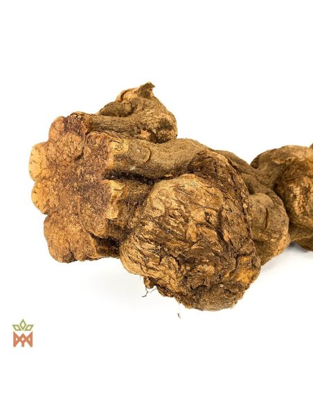 Brazilian Caupuri Caapi - Whole Display Vine, Banisteriopsis Caapi